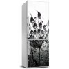 Nálepka fototapeta Semená púpavy 60x180 cm