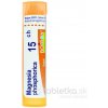 Magnesia Phosphorica gra.1 x 4 g 15CH