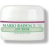 Mario Badescu Lip Mask with Acai and Vanilla nočná maska na pery 14 g