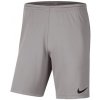 Detské šortky Park III Knit Junior BV6865-017 - Nike 122 cm