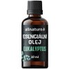 ALLNATURE Esenciálny olej Eukalyptus 10 ml