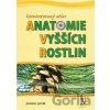 Komentovaný atlas anatomie vyšších rostlin - Jaroslav Jurčák
