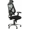 Ergonomická stolička CorpoComfort BX-W4310 Black