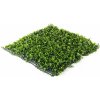 UMELÝ ŽIVÝ PLOT HAWAJ BUXUS HIGH | STENA 100 X 100 CM