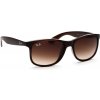 Ray-Ban RB 4202 607313 55