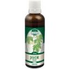 Naděje Javor poľný - tinktúra z púčikov P17 Objem: 50 ml