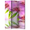 Artgeist Paraván - Orchid Spa [Room Dividers]