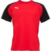 Puma teamGLORY Jersey 70501701