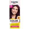 PALETTE COLOR ŠAMPÓN Bordo 4-99 .. 301