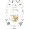 České Pivní Pohádky - Jiří Vávra