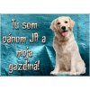 Pozorpes.sk, výstražná tabuľka (Zlatý retríver)