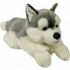 Dubi Maskot pes husky ležící velký plyšový medvídek 61 cm