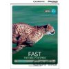 Fast: The Need for Speed High Beginning Book with Online Access - Genevieve Kocienda