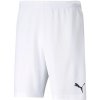 Trenky Puma teamRISE Short M 704942 03