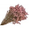 FLOWERIO Stabilizované kvety Limonium sinensis 100g - ružové