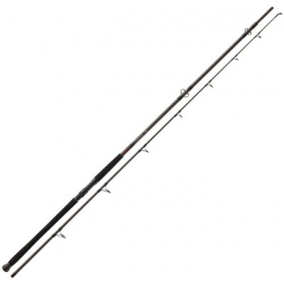 DAIWA Exceler Sumcová bójka 3 m 200-600 g 2 diely