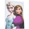 Obraz na plátne Frozen Elsa&Anna 50x70 cm