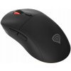Genesis ZIRCON XIII NMG-2089