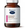 BioCare Cranberry Intensive brusnice na močové cestyprášok 60 g