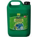 Tetra Pond Algofin 3l