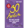 30 hodin - Dalibor Pulkert