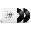 These New Puritans: Field Of Reeds (Etching Vinyl) - 2Vinyl (LP)