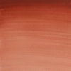 Winsor & Newton Akvarelové farby Cotman 21ml Light Red