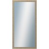 DANTIK - Zrkadlo v rámu, rozmer s rámom 60x120 cm z lišty Golf Champagne (2490)