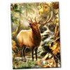 Norimpex Diamantové maľovanie Volanie lesa 30 x 40 cm