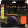 Vesta Dog Fantasy LED Reflexné nabíjacie M