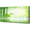 Foto obraz canvas Bambus 100x50 cm