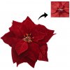 Vianočný kvet poinsettia s klipom 25 cm – bordová