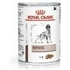 Royal Canin VD Canine Hepatic konzerva 200 g