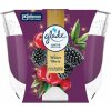 Glade Maxi Winter Berries 204 g