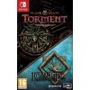 Planescape: Torment & Icewind Dale Enhanced Edition (Switch) (9133476)