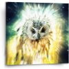 Sablio Obraz Sova - 50x50 cm