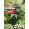 Fair Seeds - Auto Gorilla Glue 10 ks - Semená neobsahujú THC.