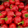 BIO Paprika Babybell červená - Capsicum annuum - bio semená - 10 ks