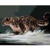 Diamondi Diamantové maľovanie - LEOPARD NA SNEHU (D. RUSTY RUST) Rámovanie: vypnuté plátno na rám, Rozmer: 40x50 cm