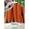 Mrkva Darina 6m neskorá NA PÁSE Wegana