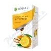 Megafyt Pharma s.r.o. Megafyt Ovocný Zázvor s medem a citrónem 20x2g
