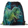 Karton P+P Premium Dinosaurus