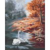 ZUTY Maľovanie podľa čísel - LABUTE A JESEŇ (D. RUSTY RUST) Rámovanie: vypnuté plátno na rám, Rozmer: 80x100 cm