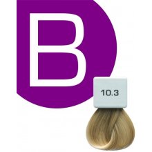 Berrywell farba na vlasy 10.3 61 ml