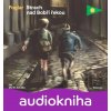 Strach nad Bobří řekou (audiokniha pro děti) - Jaroslav Foglar