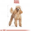 ROY Royal Canin Poodle Adult 1,5 kg