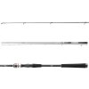 Daiwa Prút Exceler Jigger 2,4m 7-28g