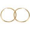 iZlato Forever zlaté klasické náušnice Kruhy IZ20621HR