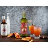 Rochester Organic Root Ginger - zázvorový nápoj, 725 ml - cesta k Vášmu zdraviu