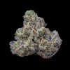 Cookies Seed Bank - Bogota 6 ks - Semená neobsahujú THC